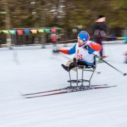 Лыжные гонки - 2016