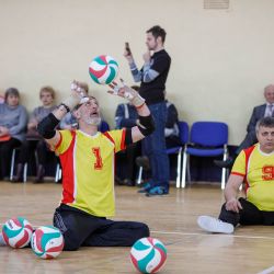 Мастер-класс по волейболу сидя в  Воскресенске