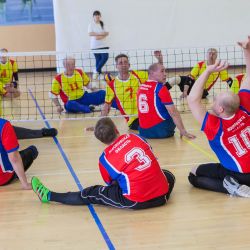 Областной Фестиваль спорта по волейболу сидя среди инвалидов Московской области, посвящённый 30-летию ВОИ